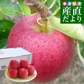 岩手県産 JAいわて中央 特別栽培りんご ジョナゴールド 約3キロ（8玉から13玉入り）送料無料 林檎 リンゴ
