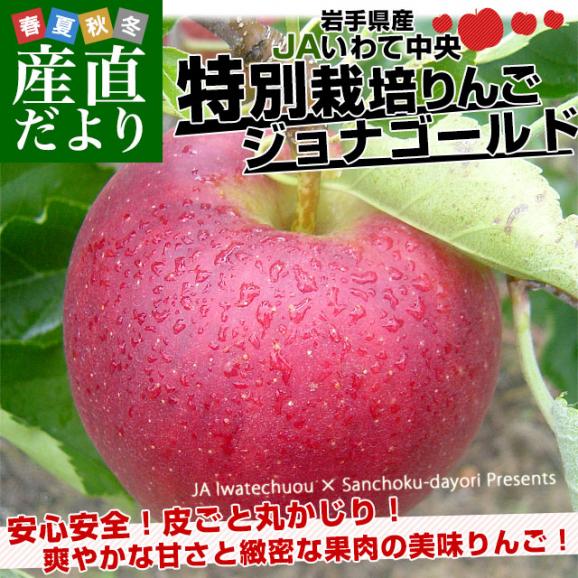 岩手県産 JAいわて中央 特別栽培りんご ジョナゴールド 約3キロ（8玉から13玉入り）送料無料 林檎 リンゴ02
