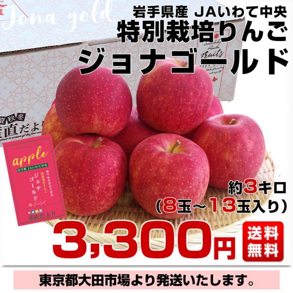 岩手県産 JAいわて中央 特別栽培りんご ジョナゴールド 約3キロ（8玉から13玉入り）送料無料 林檎 リンゴ03