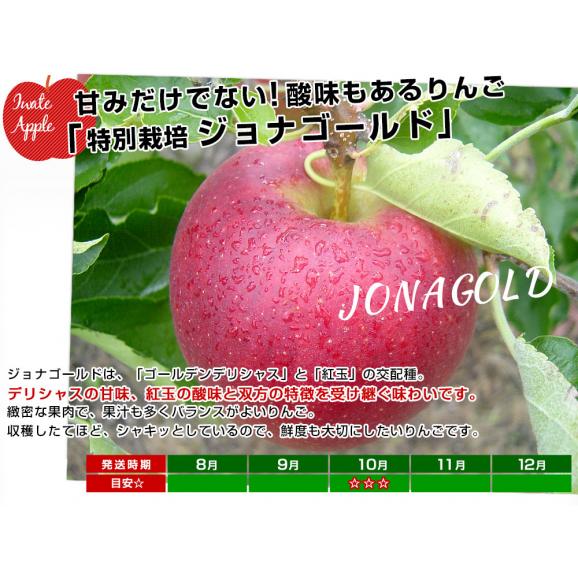 岩手県産 JAいわて中央 特別栽培りんご ジョナゴールド 約3キロ（8玉から13玉入り）送料無料 林檎 リンゴ05