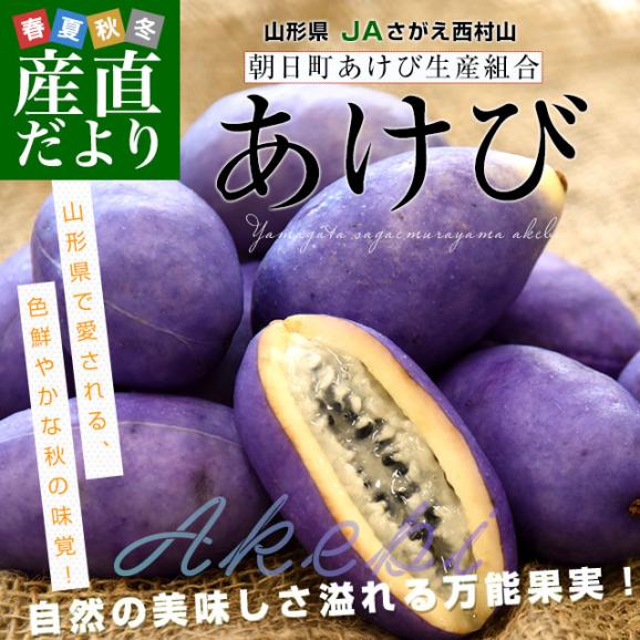 山形県 JAさがえ西村山 朝日町あけび生産組合 あけび 秀品 2LからSサイズ 約1キロ（6玉から15玉入り）送料無料 アケビ 木通 通草02