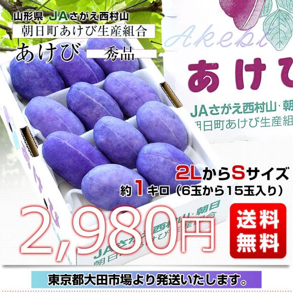 山形県 JAさがえ西村山 朝日町あけび生産組合 あけび 秀品 2LからSサイズ 約1キロ（6玉から15玉入り）送料無料 アケビ 木通 通草03