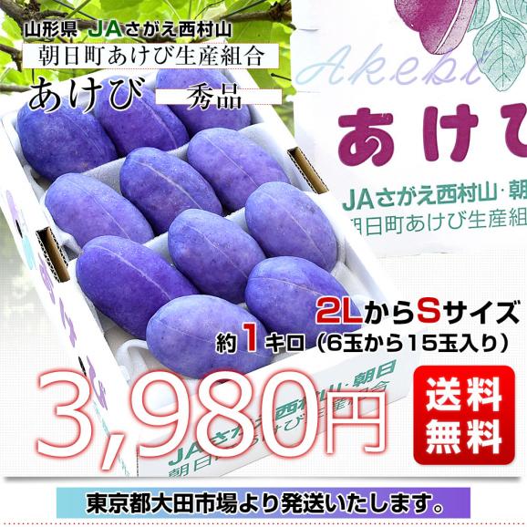 山形県 JAさがえ西村山 朝日町あけび生産組合 あけび 秀品 2LからSサイズ 約1キロ（6玉から15玉入り）送料無料 アケビ 木通 通草03