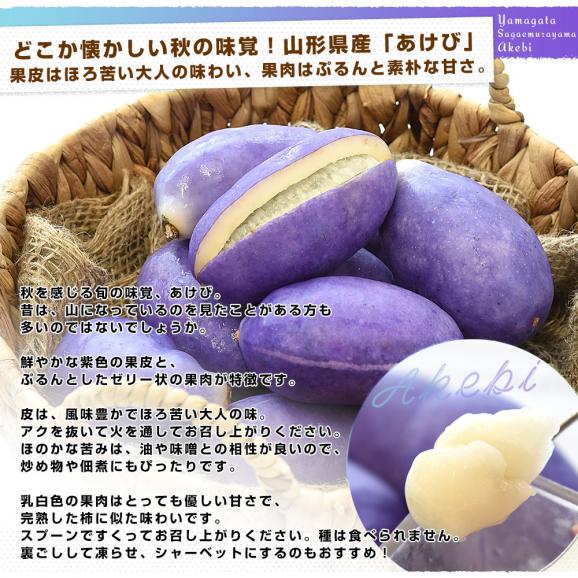 山形県 JAさがえ西村山 朝日町あけび生産組合 あけび 秀品 2LからSサイズ 約1キロ（6玉から15玉入り）送料無料 アケビ 木通 通草04