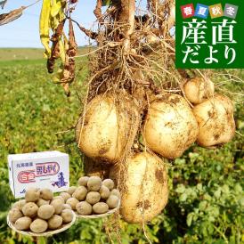 北海道産 JA今金町 じゃがいも 今金男爵 LMサイズ 約5キロ(44玉前後入り)　送料無料 馬鈴薯 ジャガイモ 芋 男爵芋