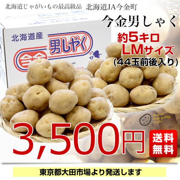 北海道産 JA今金町 じゃがいも 今金男爵 LMサイズ 約5キロ(44玉前後入り)　送料無料 馬鈴薯 ジャガイモ 芋 男爵芋03