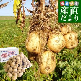 北海道産 JA今金町 じゃがいも 今金男爵 LMサイズ 約10キロ(90玉前後入り)　送料無料 馬鈴薯 ジャガイモ 芋 男爵芋