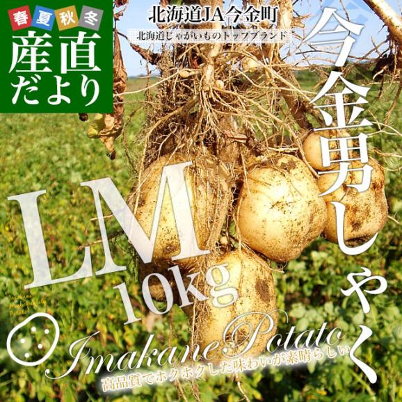 北海道産 JA今金町 じゃがいも 今金男爵 LMサイズ 約10キロ(90玉前後入り)　送料無料 馬鈴薯 ジャガイモ 芋 男爵芋02