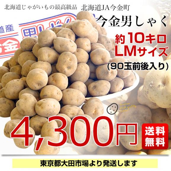 北海道産 JA今金町 じゃがいも 今金男爵 LMサイズ 約10キロ(90玉前後入り)　送料無料 馬鈴薯 ジャガイモ 芋 男爵芋03