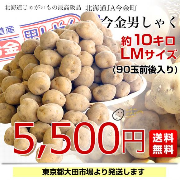 北海道産 JA今金町 じゃがいも 今金男爵 LMサイズ 約10キロ(90玉前後入り)　送料無料 馬鈴薯 ジャガイモ 芋 男爵芋03