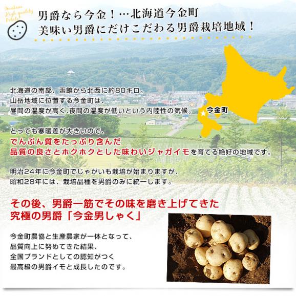 北海道産 JA今金町 じゃがいも 今金男爵 LMサイズ 約10キロ(90玉前後入り)　送料無料 馬鈴薯 ジャガイモ 芋 男爵芋04