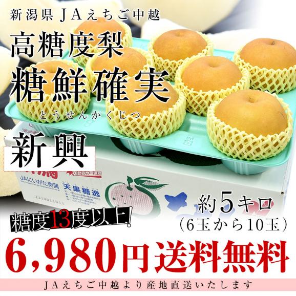 新潟県より産地直送 JAえちご中越 高糖度梨「糖鮮確実 (とうせんかくじつ)」 新興梨　優品以上 約５キロ (6玉から10玉) なし ナシ 送料無料03