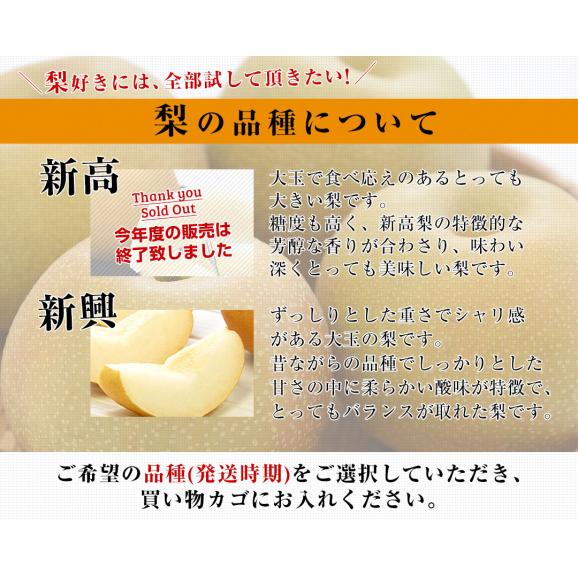 新潟県より産地直送 JAえちご中越 高糖度梨「糖鮮確実 (とうせんかくじつ)」 糖度13度以上 優品以上 約5キロ (5玉から10玉) なし ナシ 送料無料06