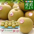 栃木県より産地直送 JAうつのみやの梨 甘太（かんた） 大玉限定 秀品 約5キロ （6玉から12玉） 送料無料 梨 ナシ