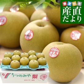 栃木県より産地直送 JAうつのみやの梨 甘太（かんた） 大玉限定 秀品 約5キロ （6玉から12玉） 送料無料 梨 ナシ