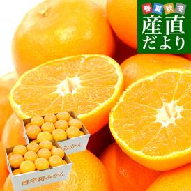 愛媛県より産地直送 JAにしうわ 西宇和温州みかん 2Lサイズ 約3キロ×2箱　送料無料 みかん ミカン 蜜柑