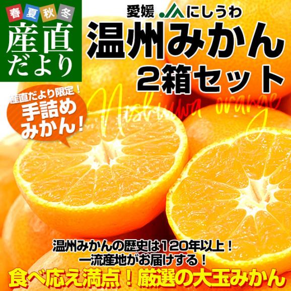 愛媛県より産地直送 JAにしうわ 西宇和温州みかん 2Lサイズ 約3キロ×2箱　送料無料 みかん ミカン 蜜柑02