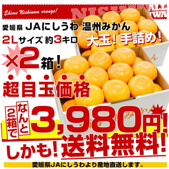 愛媛県より産地直送 JAにしうわ 西宇和温州みかん 2Lサイズ 約3キロ×2箱　送料無料 みかん ミカン 蜜柑03