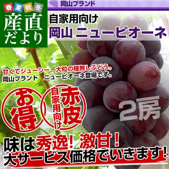 岡山県産 自家用 ニューピオーネ 約1キロ（2房）送料無料 ぶどう 種なし黒ぶどう グレープ02
