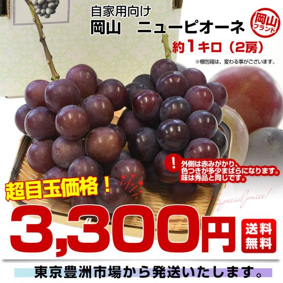 岡山県産 自家用 ニューピオーネ 約1キロ（2房）送料無料 ぶどう 種なし黒ぶどう グレープ03