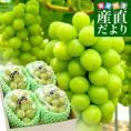岡山県産　JA晴れの国岡山　びほくぶどう生産部会　シャインマスカット 晴王（はれおう）2キロ（3房から4房）優品　自家用　送料無料 ぶどう 種なし黒ぶどう
