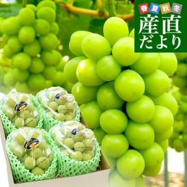岡山県産　JA晴れの国岡山　びほくぶどう生産部会　シャインマスカット 晴王（はれおう）2キロ（3房から4房）優品　自家用　送料無料 ぶどう 種なし黒ぶどう