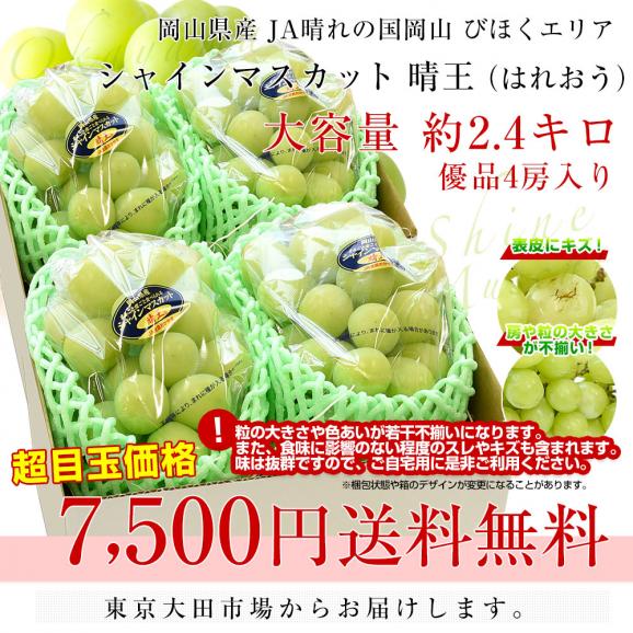 岡山県産　JA晴れの国岡山 びほくエリア　自家用 シャインマスカット 晴王（はれおう）約2.4キロ（4房入り）優品 送料無料 種なしぶどう クール便03
