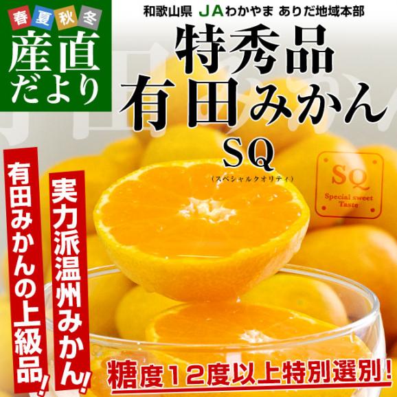 【お歳暮 ギフト】和歌山県より産地直送 JAわかやま ありだ地域本部 有田みかん 糖度12度以上 特秀品「SQ スペシャルクオリティ」LからSサイズ 5キロ(40玉から60玉) 送料無料 02