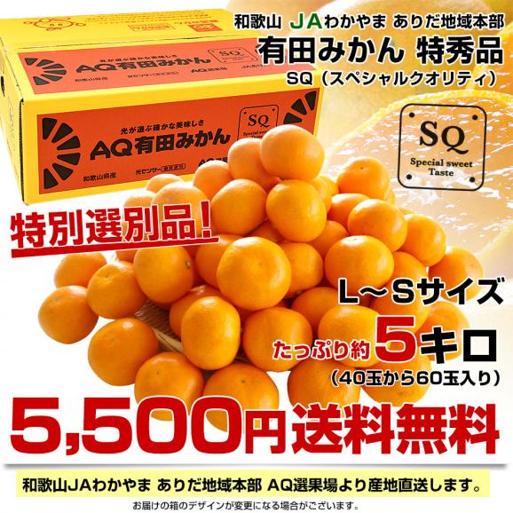 【お歳暮 ギフト】和歌山県より産地直送 JAわかやま ありだ地域本部 有田みかん 糖度12度以上 特秀品「SQ スペシャルクオリティ」LからSサイズ 5キロ(40玉から60玉) 送料無料 03
