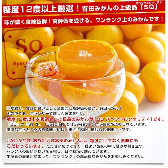 【お歳暮 ギフト】和歌山県より産地直送 JAわかやま ありだ地域本部 有田みかん 糖度12度以上 特秀品「SQ スペシャルクオリティ」LからSサイズ 5キロ(40玉から60玉) 送料無料 05