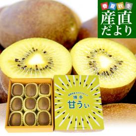 福岡県産JA全農ふくれん 福岡オリジナルキウイ 甘うぃ（あまうぃ）A品 1.3キロ以上　化粧箱（5Lから3Lサイズ9玉から10玉入り）送料無料 キウイフルーツ
