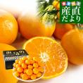 愛媛県より産地直送 JAにしうわ みなの共選 最高等級みかん「特秀品みなの」LからSサイズ 5キロ(40玉から60玉) 送料無料 お歳暮 ギフト