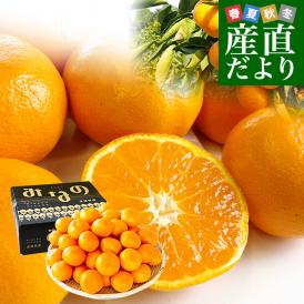 愛媛県より産地直送 JAにしうわ みなの共選 最高等級みかん「特秀品みなの」LからSサイズ 5キロ(40玉から60玉) 送料無料 お歳暮 ギフト