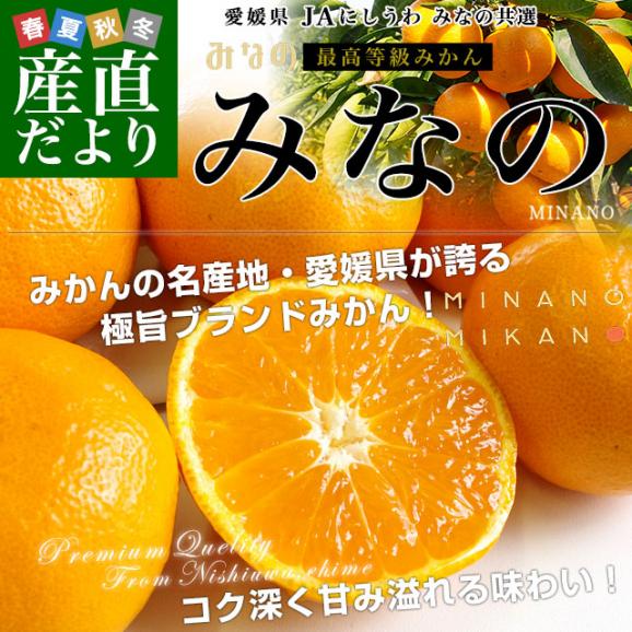 愛媛県より産地直送 JAにしうわ みなの共選 最高等級みかん「特秀品みなの」LからSサイズ 5キロ(40玉から60玉) 送料無料 お歳暮 ギフト02