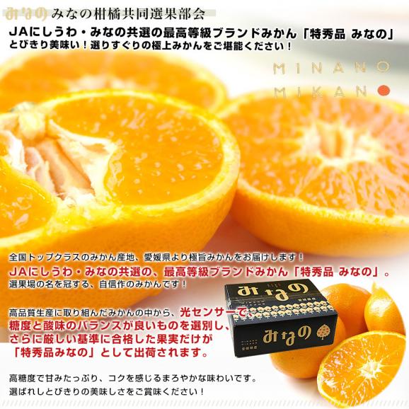 愛媛県より産地直送 JAにしうわ みなの共選 最高等級みかん「特秀品みなの」LからSサイズ 5キロ(40玉から60玉) 送料無料 お歳暮 ギフト04