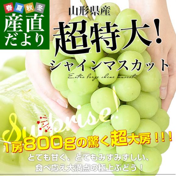 山形県産 超特大シャインマスカット 約800g(1房) 送料無料 ぶどう 葡萄 ブドウ マスカット 白ぶどう02