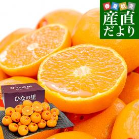 愛媛県 JAにしうわ 真穴共選 最上級みかん「ひなの里」2LからSサイズ 3キロ(16玉から36玉) 送料無料 ミカン 蜜柑 お歳暮 ギフト 市場発送