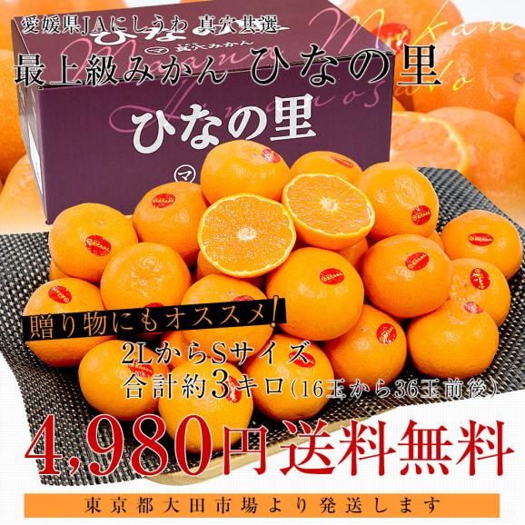 愛媛県 JAにしうわ 真穴共選 最上級みかん「ひなの里」2LからSサイズ 3キロ(16玉から36玉) 送料無料 ミカン 蜜柑 お歳暮 ギフト 市場発送03