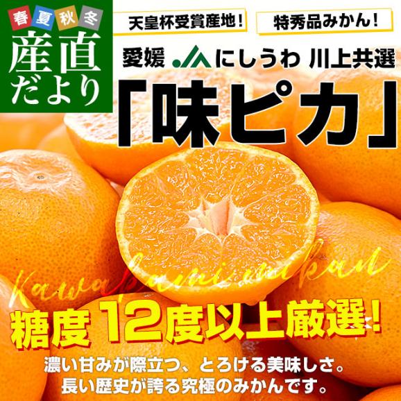 愛媛県 JAにしうわ 川上共選 最高等級みかん「味ピカ」LからSサイズ 約2.5キロ(20玉から30玉前後) 送料無料 ミカン 高糖度みかん 御歳暮 お歳暮 ギフト02