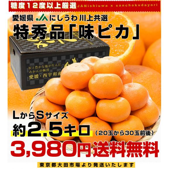 愛媛県 JAにしうわ 川上共選 最高等級みかん「味ピカ」LからSサイズ 約2.5キロ(20玉から30玉前後) 送料無料 ミカン 高糖度みかん 御歳暮 お歳暮 ギフト03