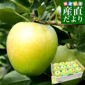 岩手県産 JAいわて中央 特別栽培りんご 王林 約3キロ（8玉から13玉入り）送料無料 林檎 リンゴ