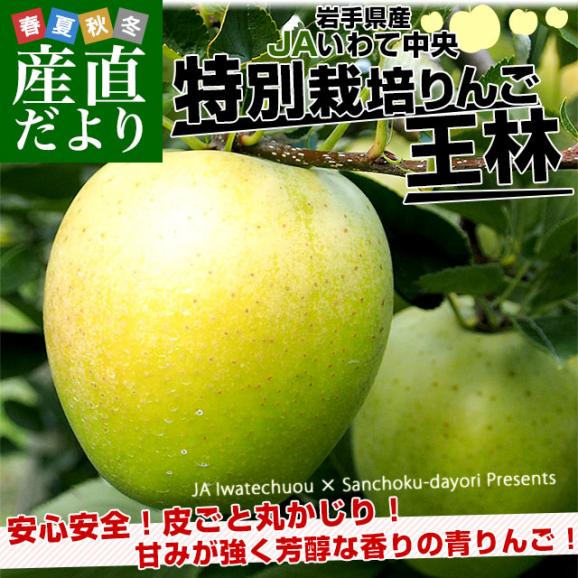 100%正規品 JAいわて中央 岩手県産 特別栽培りんご 約3キロ（8玉から13 王林 果物