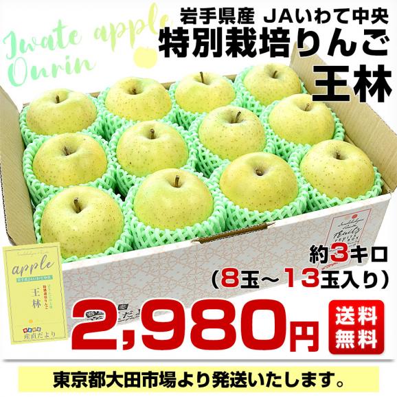 岩手県産 JAいわて中央 特別栽培りんご 王林 約3キロ（8玉から13
