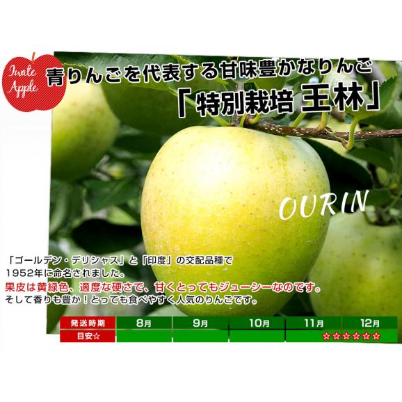 岩手県産 JAいわて中央 特別栽培りんご 王林 約3キロ（8玉から13玉入り）送料無料 林檎 リンゴ05