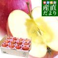 岩手県産 JAいわて中央 特別栽培りんご サンふじ 約3キロ（8玉から13玉入り）送料無料 林檎 リンゴ