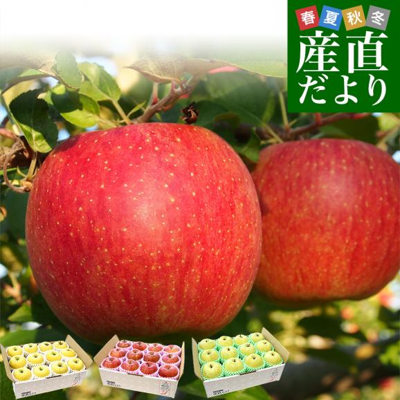 岩手県産 JAいわて中央　品種が選べる　極旨！樹上完熟りんご　約3キロ（10玉から12玉）送料無料 リンゴ アップル あっぷる01