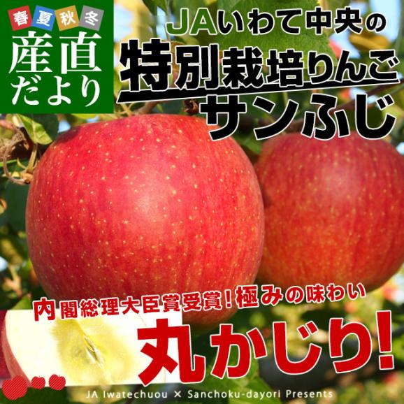 岩手県産 JAいわて中央 特別栽培りんご サンふじ 約3キロ（8玉から13玉入り）送料無料 林檎 リンゴ02