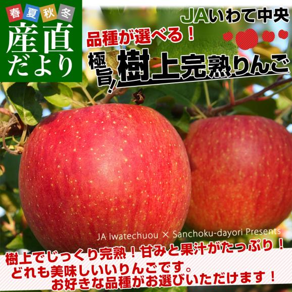 岩手県産 JAいわて中央　品種が選べる　極旨！樹上完熟りんご　約3キロ（10玉から12玉）送料無料 リンゴ アップル あっぷる02