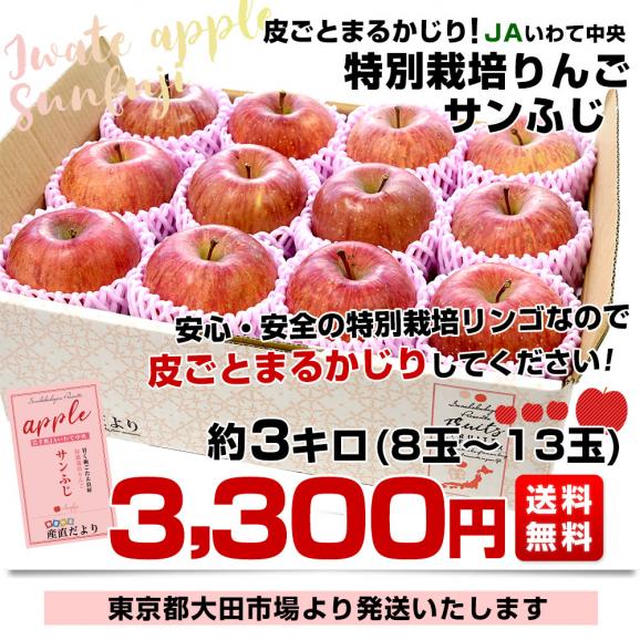 岩手県産 JAいわて中央 特別栽培りんご サンふじ 約3キロ（8玉から13玉入り）送料無料 林檎 リンゴ03
