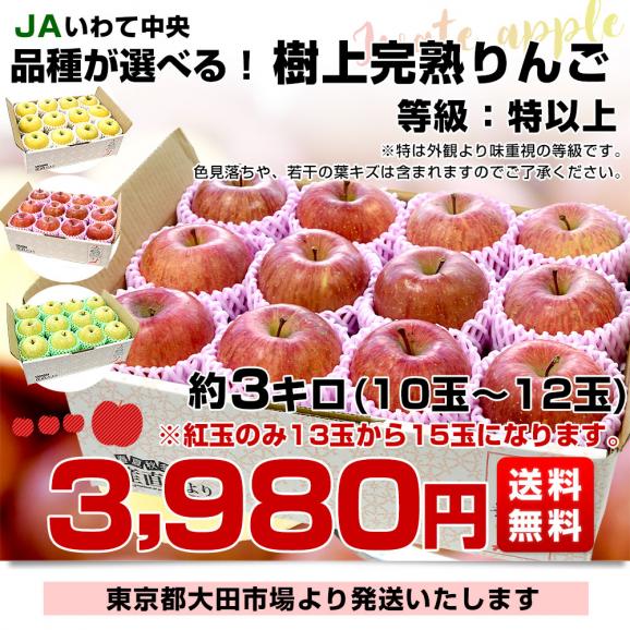 岩手県産 JAいわて中央　品種が選べる　極旨！樹上完熟りんご　約3キロ（10玉から12玉）送料無料 リンゴ アップル あっぷる03
